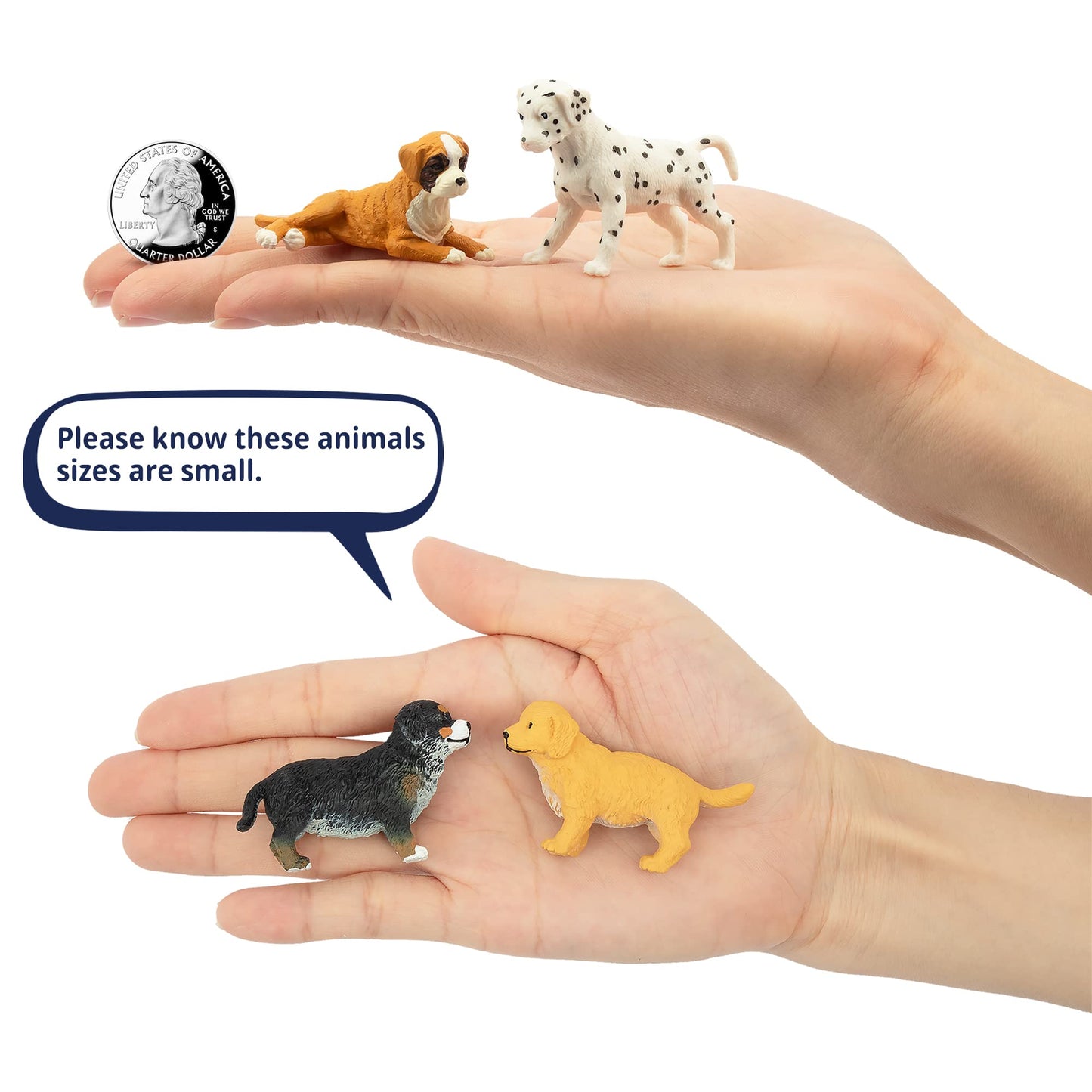 Toymany 12PCS Mini Dog Figurines Playset – Realistic Hand-Painted Puppy Figures, Plastic Animal Toys, Cake Toppers & Gifts for Kids
