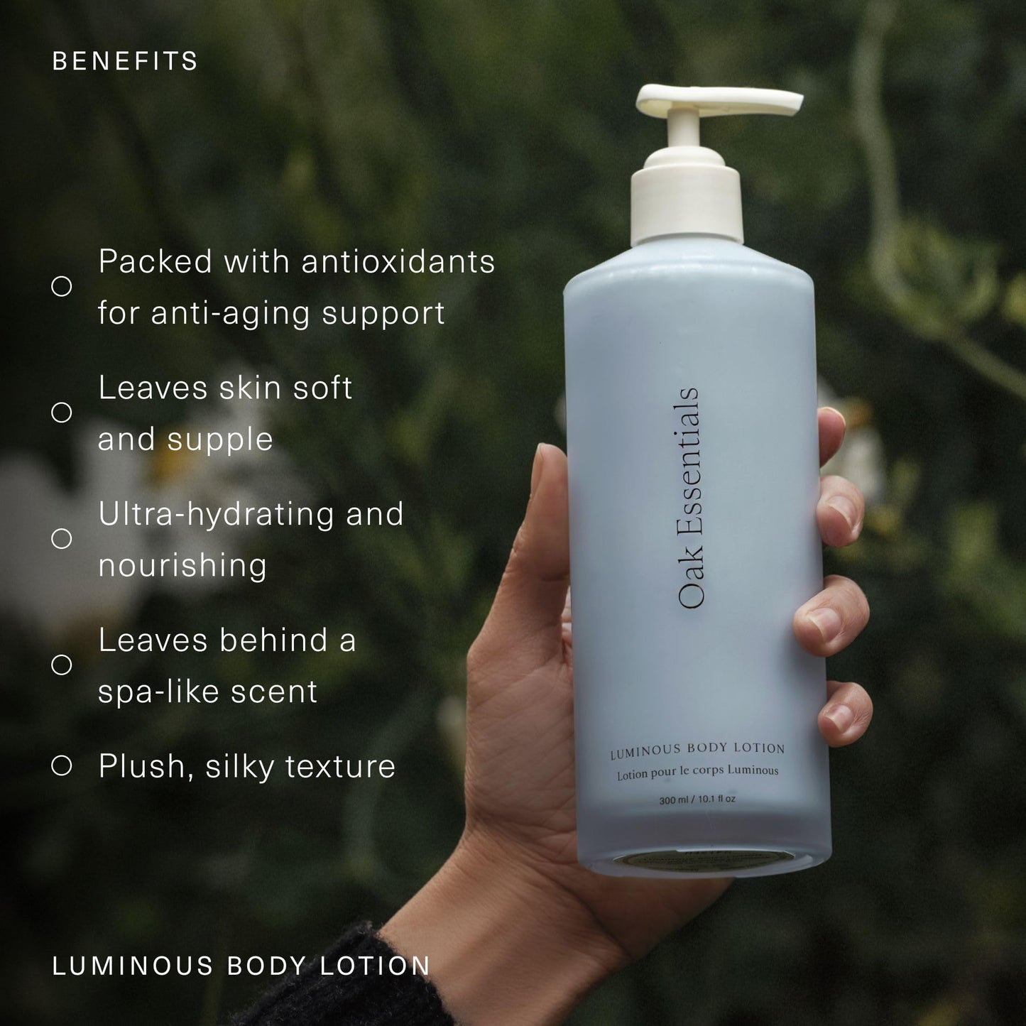 Oak Essentials Luminous Body Lotion, Hydrating Body Lotion for Women with Blue Tansy, Rose Oil, Shea Butter and Coconut Oil, Lightweight Moisturizer