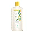 Andalou Naturals Sunflower and Citrus Brilliant Shine Shampoo, 11.5 Ounce