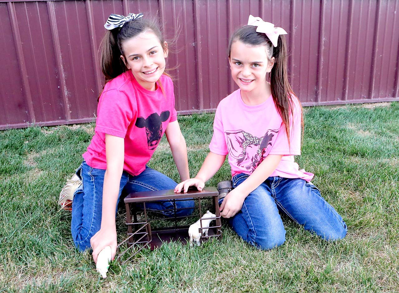 Little Buster Toys Animal Barn - Working Gates, Metal Floor and Roof, 1/16th Scale