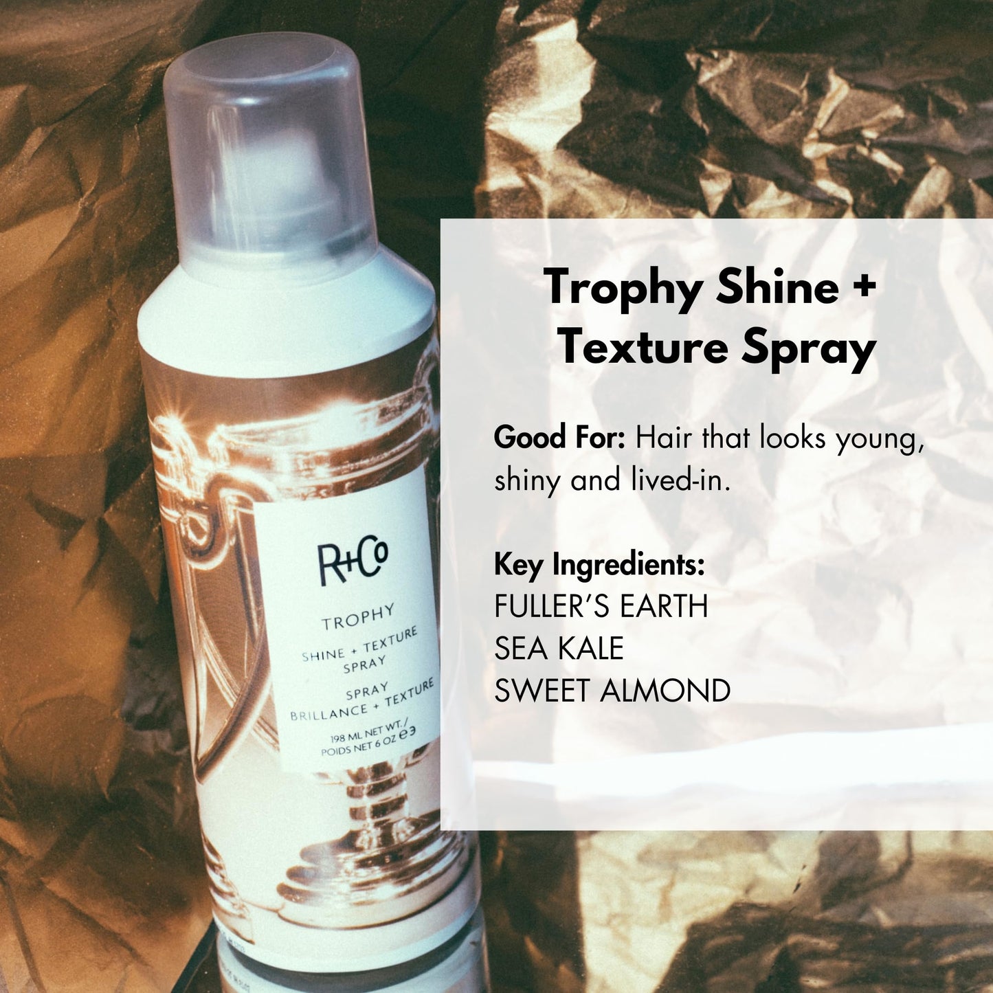 R+Co Trophy Shine + Texture Spray 198 ml / 6 oz