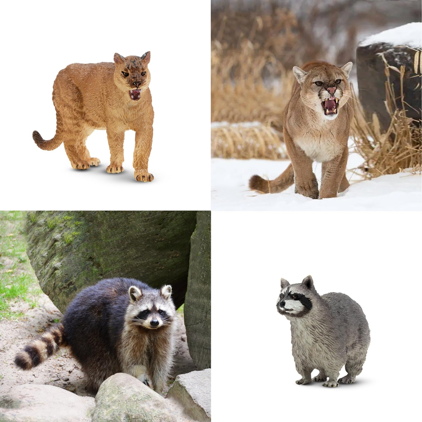 Toymany 12PCS North American Forest Animal Figurines – Realistic Jungle Wildlife Set with Bear, Wolf, Eagle & More, Educational Toys for Kids