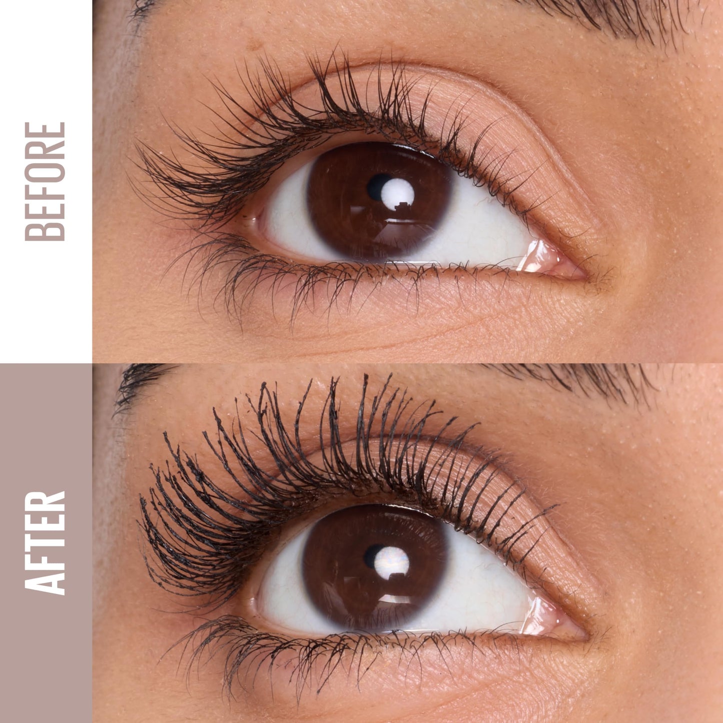 Maybelline Lash Sensational Body Washable Mascara, Volume and Length Formula for 24HR Lash Lift, Smudge and Clump-Resistant, Blackest Black Beauty and Personal Care MAYBELLINE