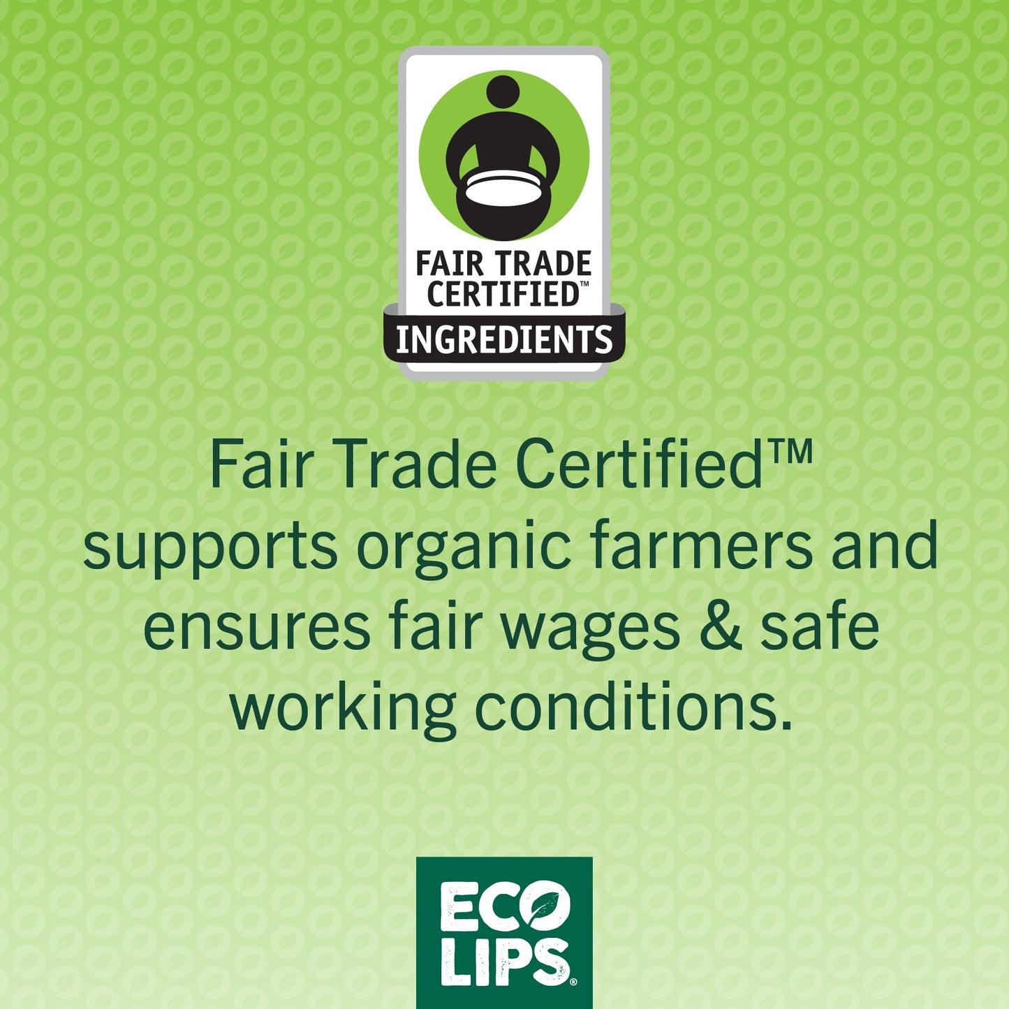 Eco Lips GOLD Organic Lip Balm with Baobab Oil - Soothe and Moisturize Dry, Cracked and Chapped Lips - 100% Plastic-Free Plant Pod Packaging (6 Tubes)