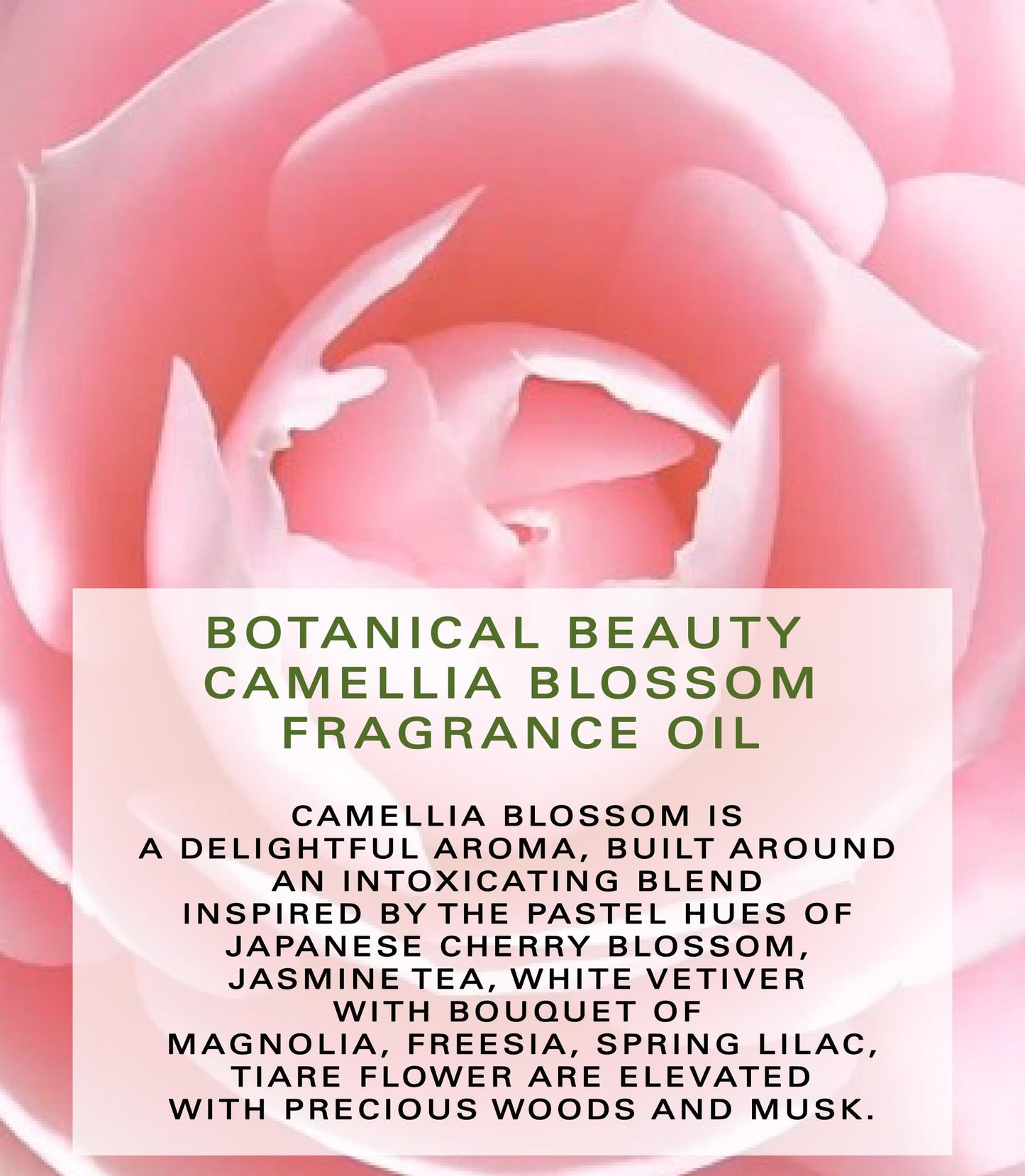 Botanical Beauty CAMELLIA BLOSSOM FRAGRANCE OIL ROLL-ON 0.338 Fl Oz 10 ml Rollerball Perfume, Long Lasting an luxury scent of blend of Magnolia