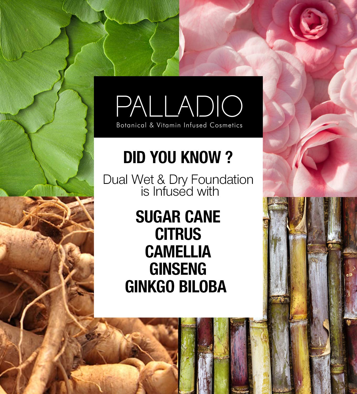 Palladio Dual Wet and Dry Foundation Refill Pan with Sponge, Squalane Infused, Apply Wet for Maximum Coverage or Dry for Light Finishing and Touchup