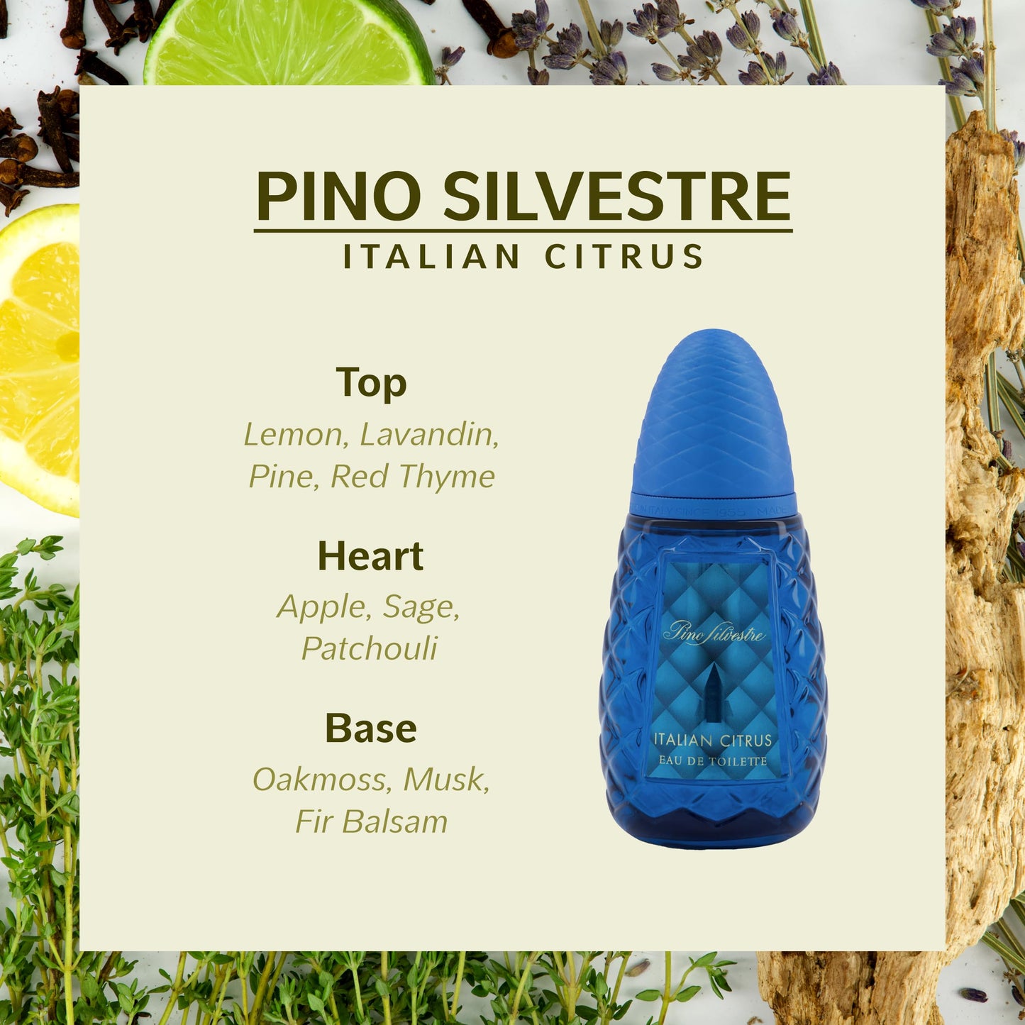 Italian Citrus by Pino Silvestre - Perfume for Men - Woody, Aromatic Scent - Blended with Lemon, Pine, Apple, Patchouli, and Musk - for Calm