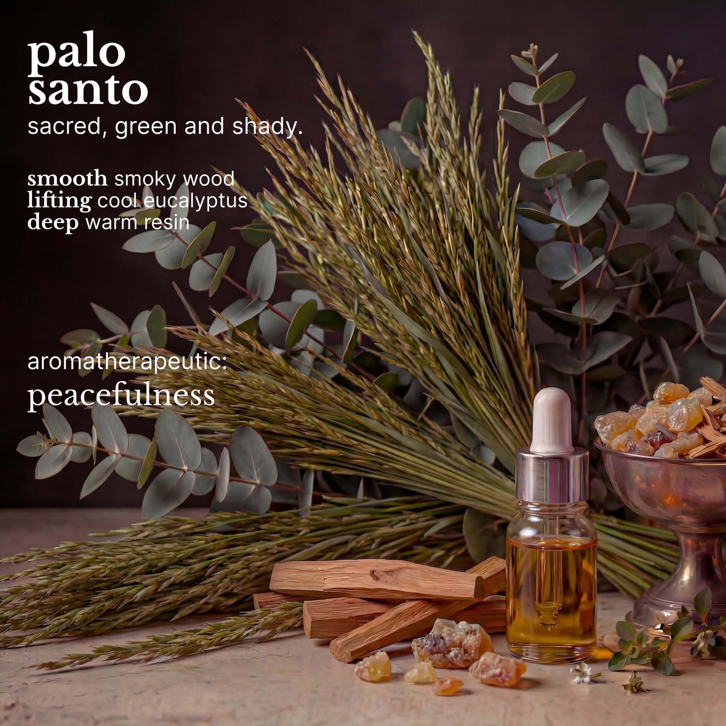 Red Flower Palo Santo Softening Lotion - Deep Hydration & Skin Repair Body & Hand Lotion with Shea Butter & Olive Fruit Oil, Vegan, Sulfate-Free, 10