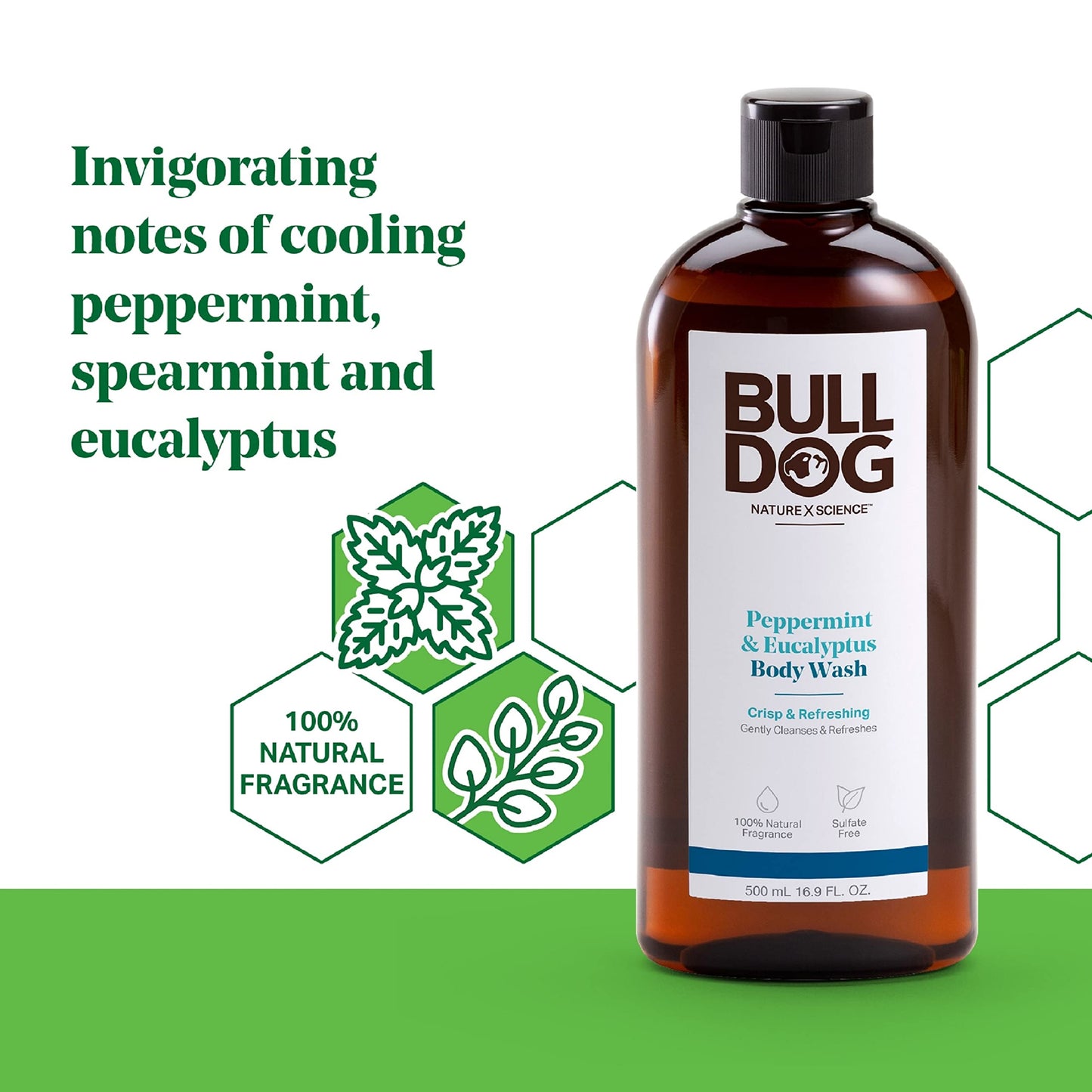Bulldog Mens Skincare and Grooming Body Wash, Peppermint and Eucalyptus, 16.9 Fl Oz