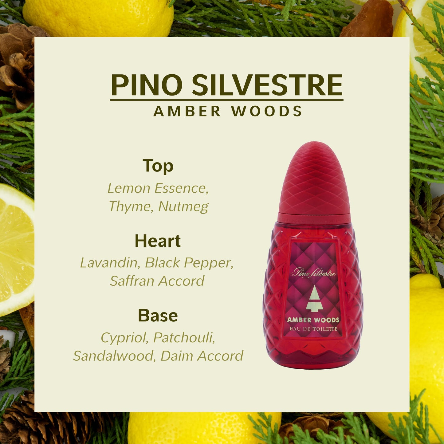 Amber Woods by Pino Silvestre - Perfume for Men - Aromatic, Woody, Spicy Scent - Blended with Lemon, Lavender, Patchouli, and Sandalwood - for Bold