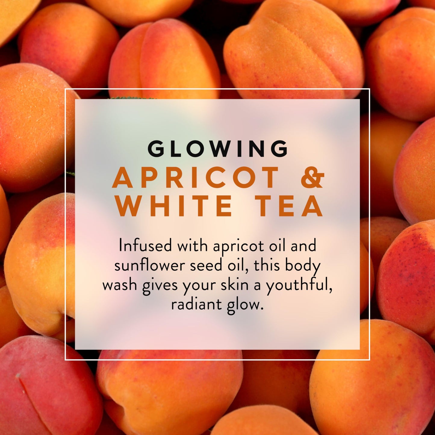 JASON Apricot and White Tea Glowing Body Wash, For a Gentle Feeling Clean, 30 Fluid Ounces