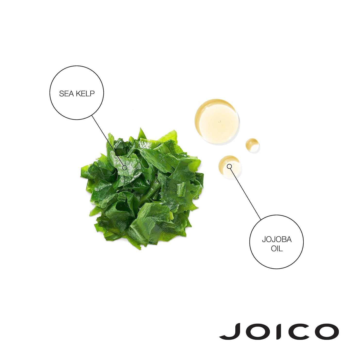 Joico Moisture Recovery Moisturizing Shampoo & Conditioner Set | Replenish Loss Moisture | For Thick & Coarse & Dry Hair