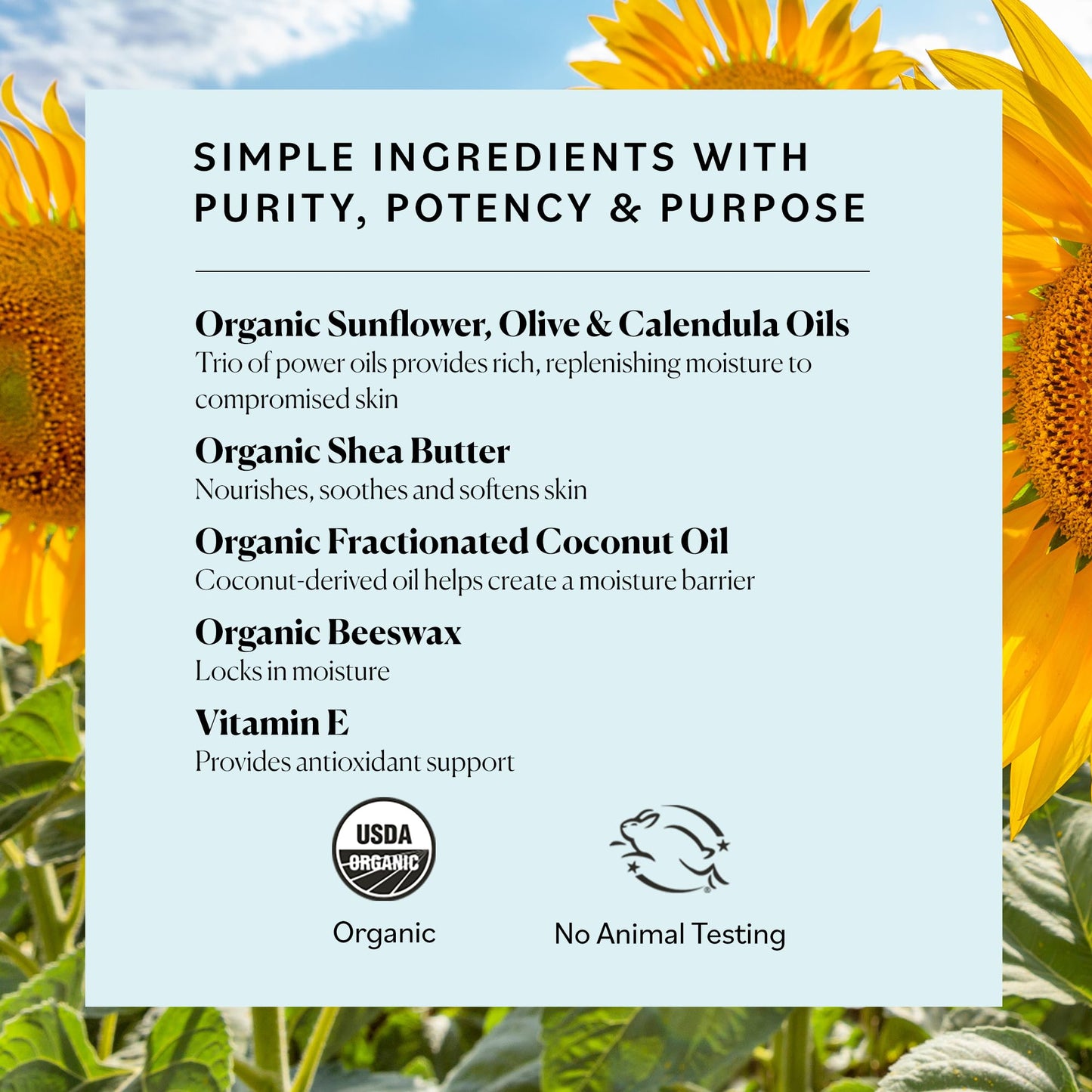 Sky Organics Organic Petroleum-free Jelly, Multi-Purpose Skin Care Balm with Organic Shea Butter, Coconut Oil, Olive Oil & Vitamin E, Moisturizing Lip