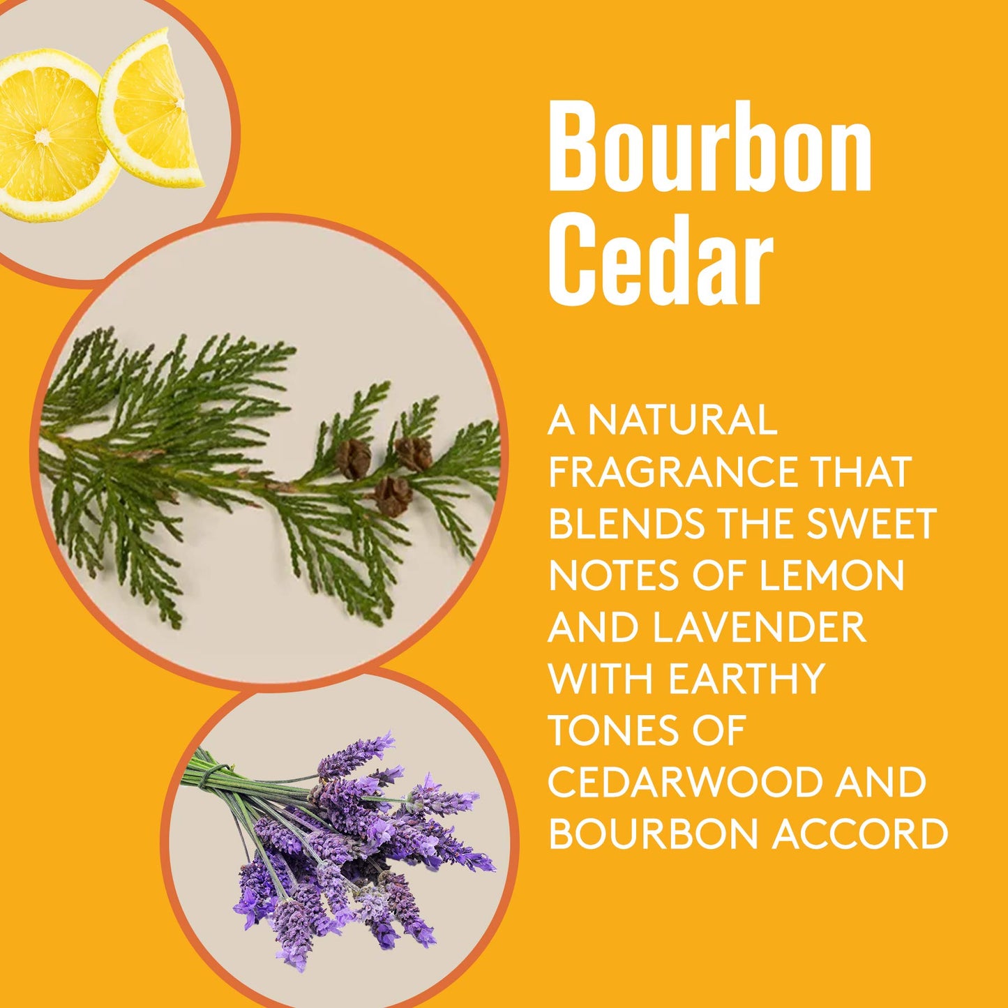 Barrel and Oak - Natural Fragrance, For Men, Eau de Cologne, Essential Oil-Based Scent