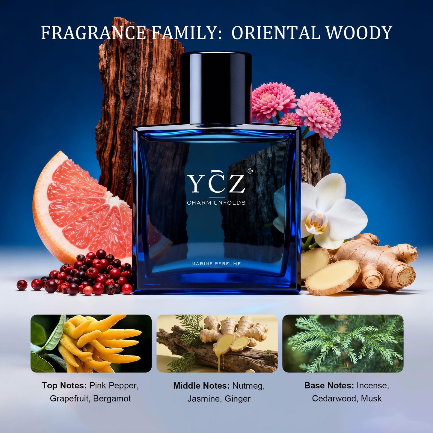 Ycz Midnight Marine Eau de Parfum, 1.7 Fl Oz (50 mL), Long-Lasting Perfume for Men, Aquatic Woody Fragrance with Grapefruit, Ginger & Cedar Notes Beauty and Personal Care Ycz