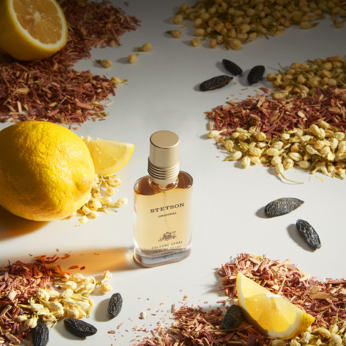 STETSON Original Cologne for Men | Classic Woody Scent with Citrus, Patchouli & Tonka Bean Notes | 0.75 fl oz