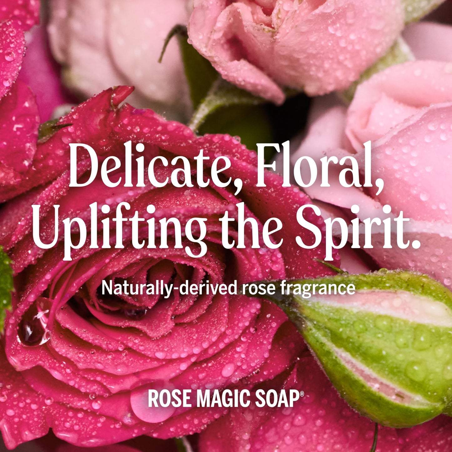 Dr. Bronner's Magic Soap Pure-Castile Liquid Soap (Rose, 1 Gallon) - Made with Organic Oils, 18-in-1 Uses: Face, Body, Hair, Laundry, Pets and Dishes