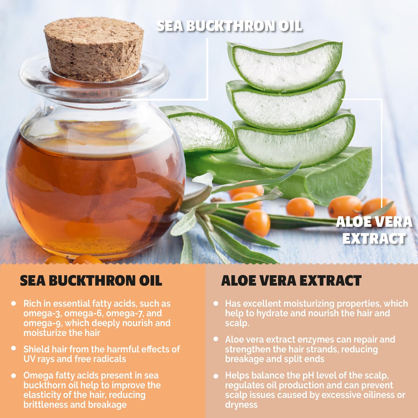 BOOTLEG BATH Hydrating Shampoo and Conditioner Bar with Sea Buckthorn Oil and Aloe Vera Extract, Vegan, Sulfate-Free, Phthalate-Free, Paraben-Free