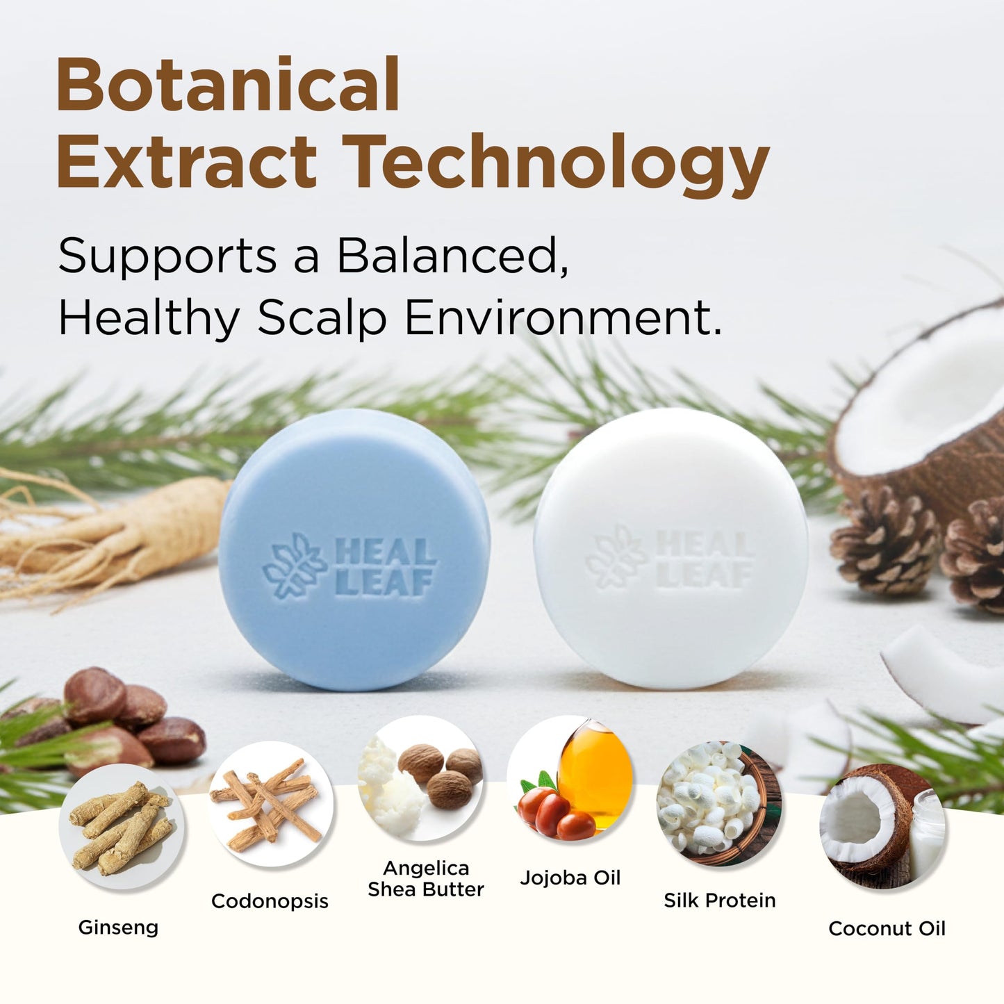 HEAL LEAF Solid Shampoo and Conditioner Bar Set - Botanical Hair & Scalp Care - Plant Extracts Complex, Natural pH - Eco-Friendly Travel Essential
