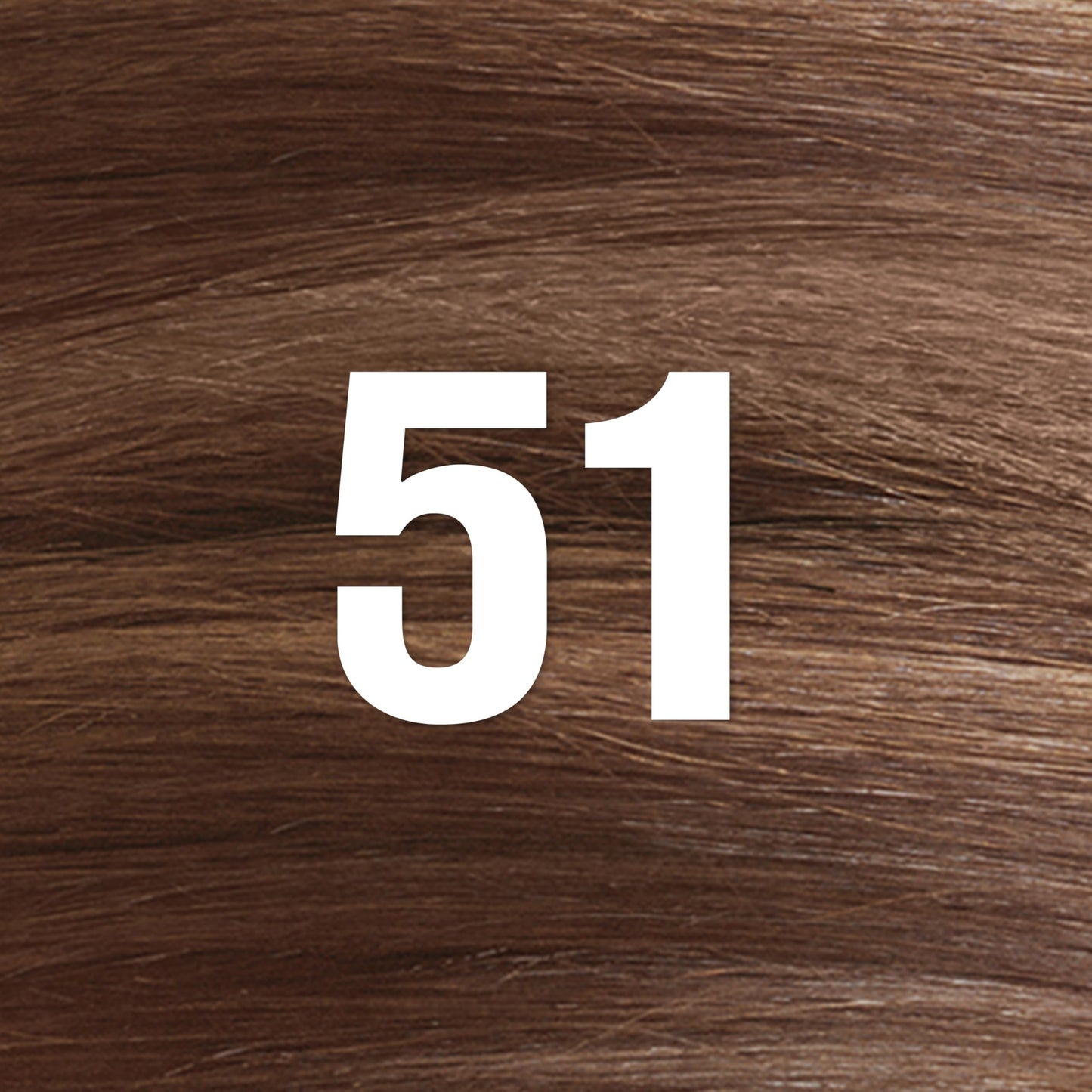 Revlon ColorSilk with Bond Repair Complex, Brown Permanent Hair Color, 100% Gray Coverage, Ammonia Free Hair Dye, Vegan Keratin, 51 Light Brown (Pack