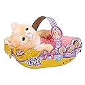 Little Live Pets Cozy Dozys Ginger The Pet Cat Toy, Interactive Plush Electronic Cat with 25+ Sounds, Soft Bedtime Kitty Toys for Kids of Ages 4+