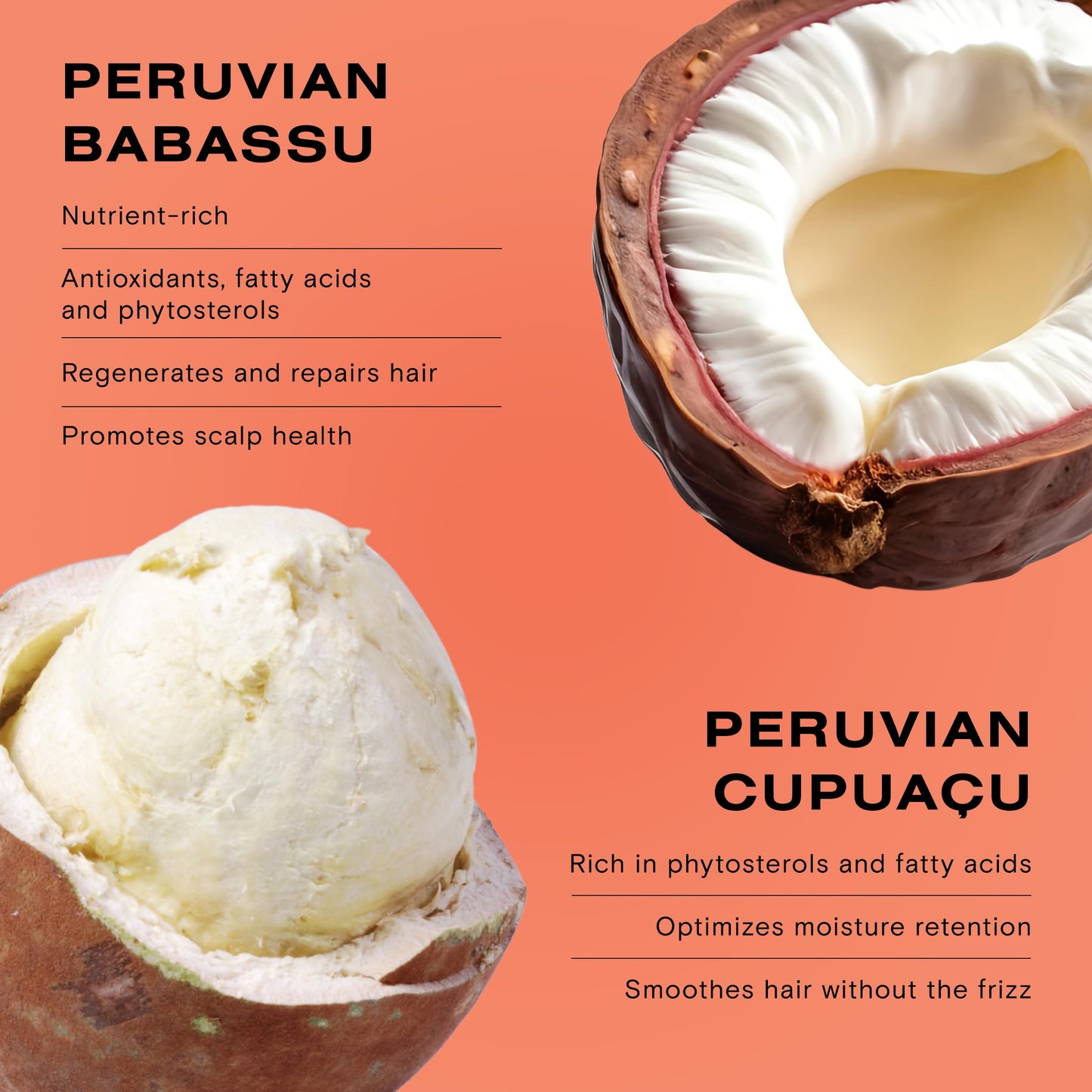 Ceremonia Mascarilla de Babassu Oil and Cupuaçu Butter Deep Conditioning Hair Mask, 7.8 Fl Oz | 230 mL