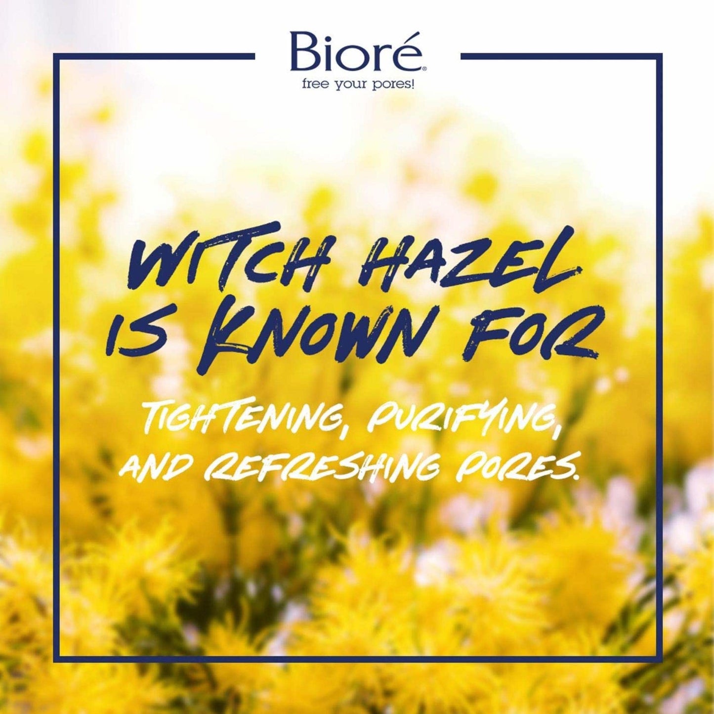 Bioré Witch Hazel Face Toner, Pore Clarifying with 2% Salicylic Acid for Acne Clearing and Balanced Skin Purification, 8.0 Ounce (3 Pack) Beauty and Personal Care Bioré