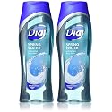 Dial Dial Body Wash, Refresh & Renew Spring Water, 16 fl oz (Pack, 16 OZ