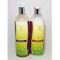 Evo Cosmetics Keratin Aloe Vera and Shampoo Conditioner 16 Oz
