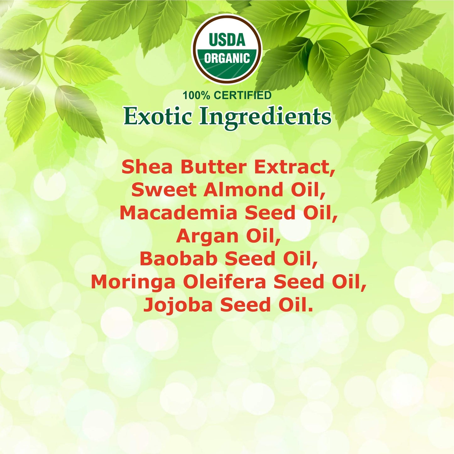 GIOVANNI ECO CHIC Frizz Be Gone - Super Smoothing Anti-Frizz Hair Serum, Adds Shine, Seals in Color, Infused with Natural Botanical Ingredients