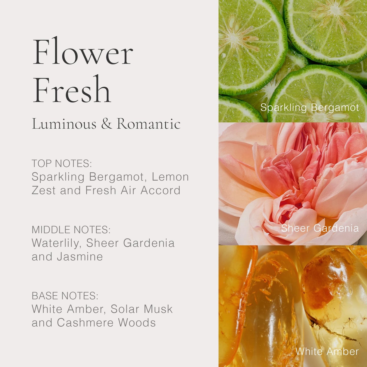 CLEAN CLASSIC Flower Fresh 30mL