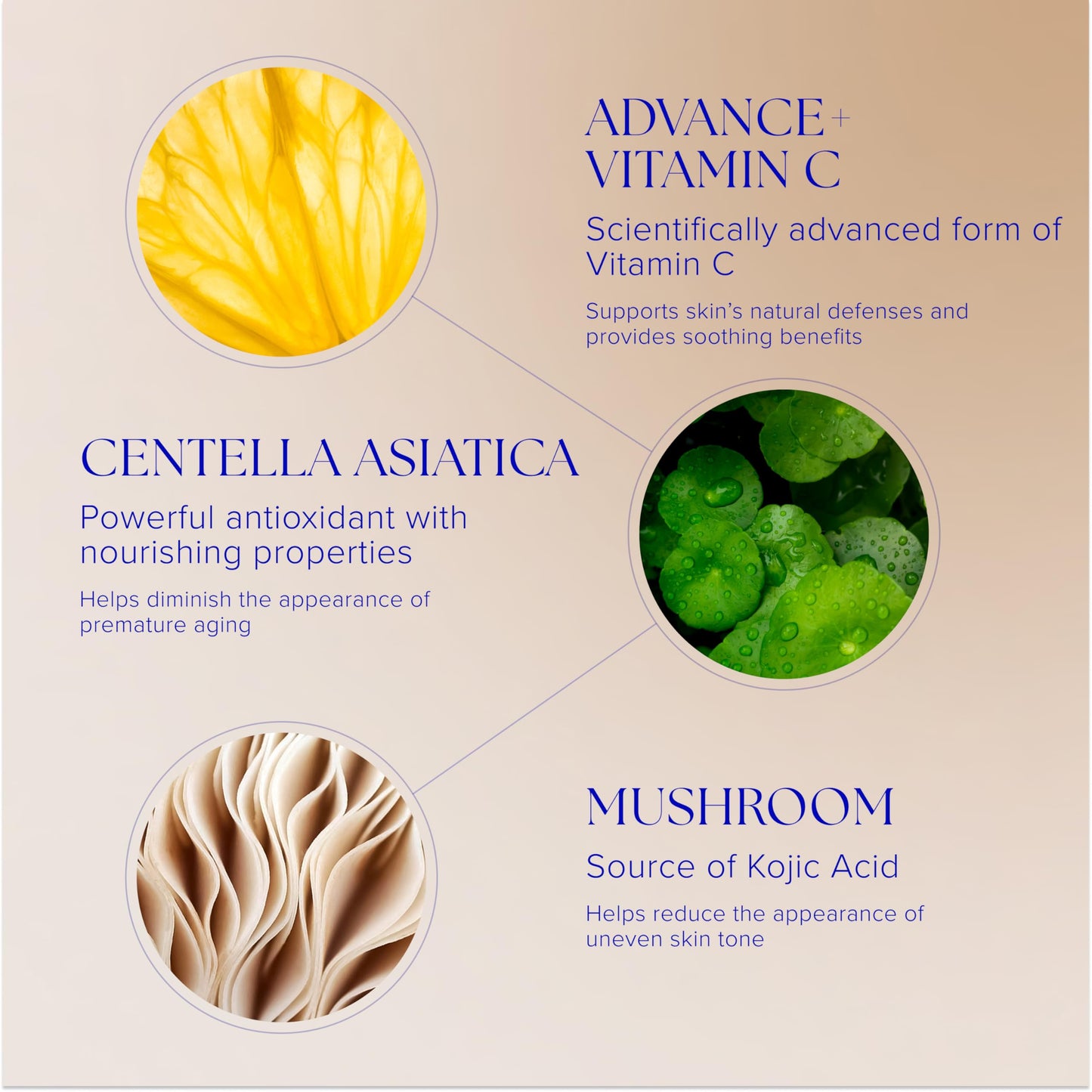 iS CLINICAL Super Serum Advance+, Anti-Aging Vitamin C Face Serum, reduces scaring and fine stretch marks, 0.5 Fl Oz