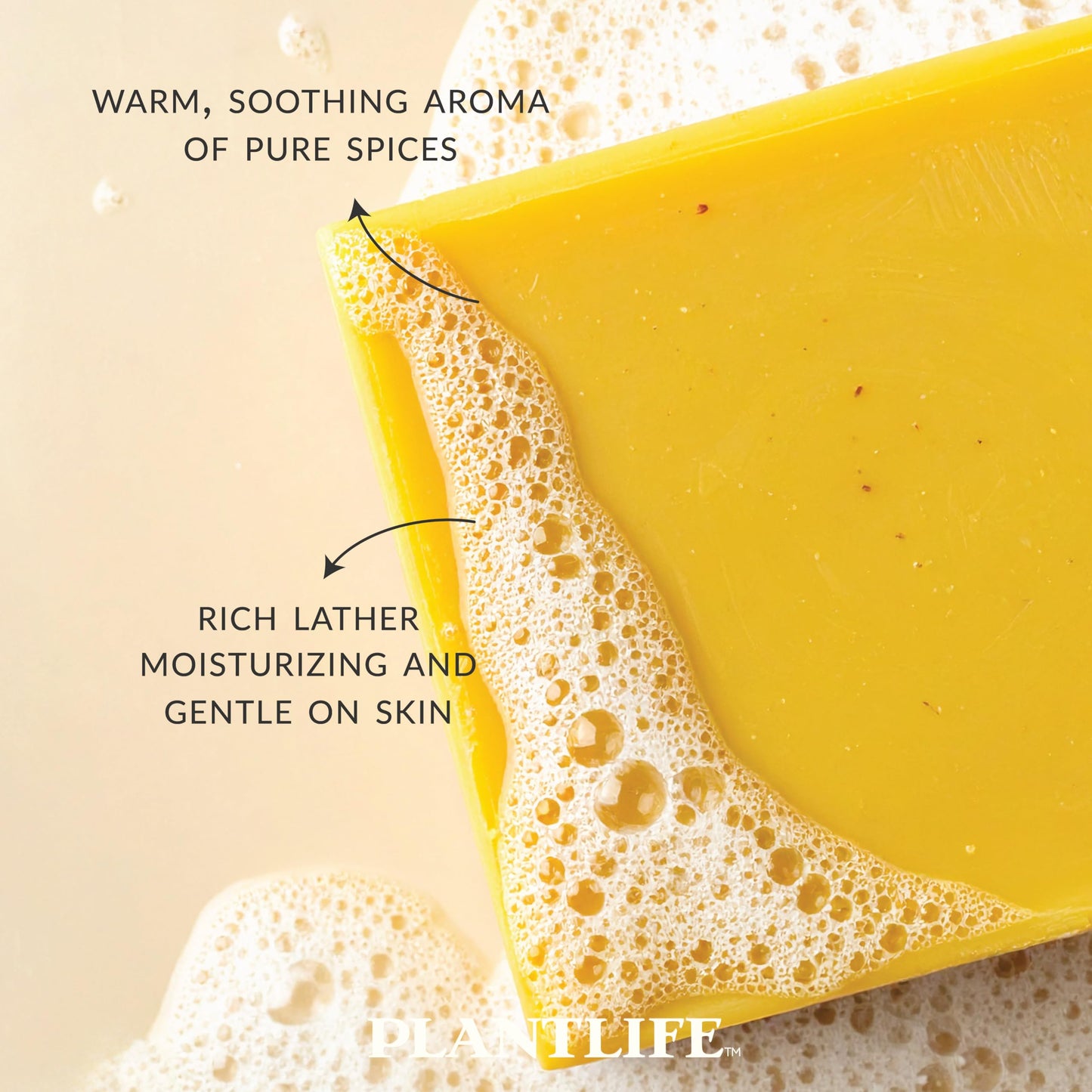 Plantlife Pumpkin Spice Bar Soap - Moisturizing and Soothing Soap for Your Skin - Hand Crafted Using Plant-Based Ingredients - Made in California 4oz
