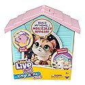 Little Live Pets My Kitty's Home Mini Playset, Mystery Kitty Plush Reveal, Build and Decorate Toy Pet Carrier, Repeat Play, Cat House Toys for Kids 5+