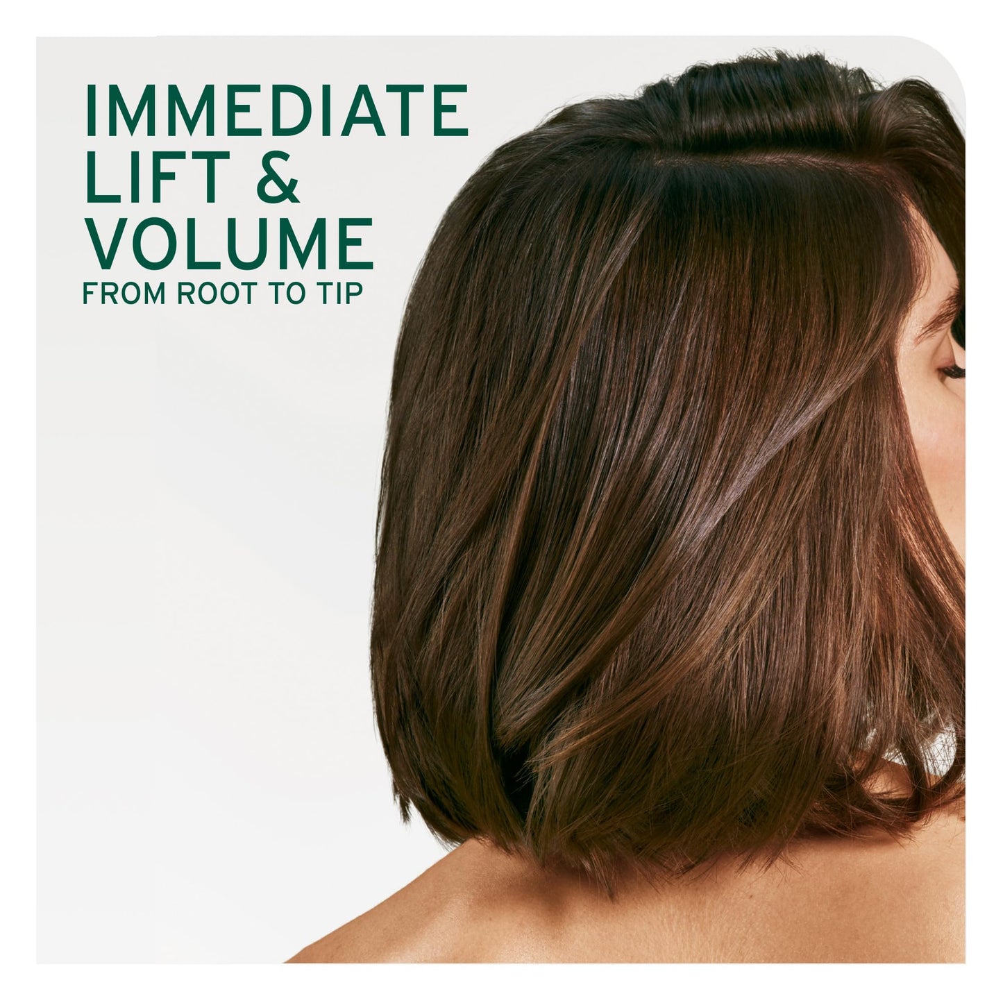 Biolage Volume Boost Conditioner - Weightless Moisture, Shine & Volume, Detangles Fine Hair, Soy Protein & Polymers, Vegan & Paraben-Free, 33.8 Fl Oz Beauty and Personal Care Biolage