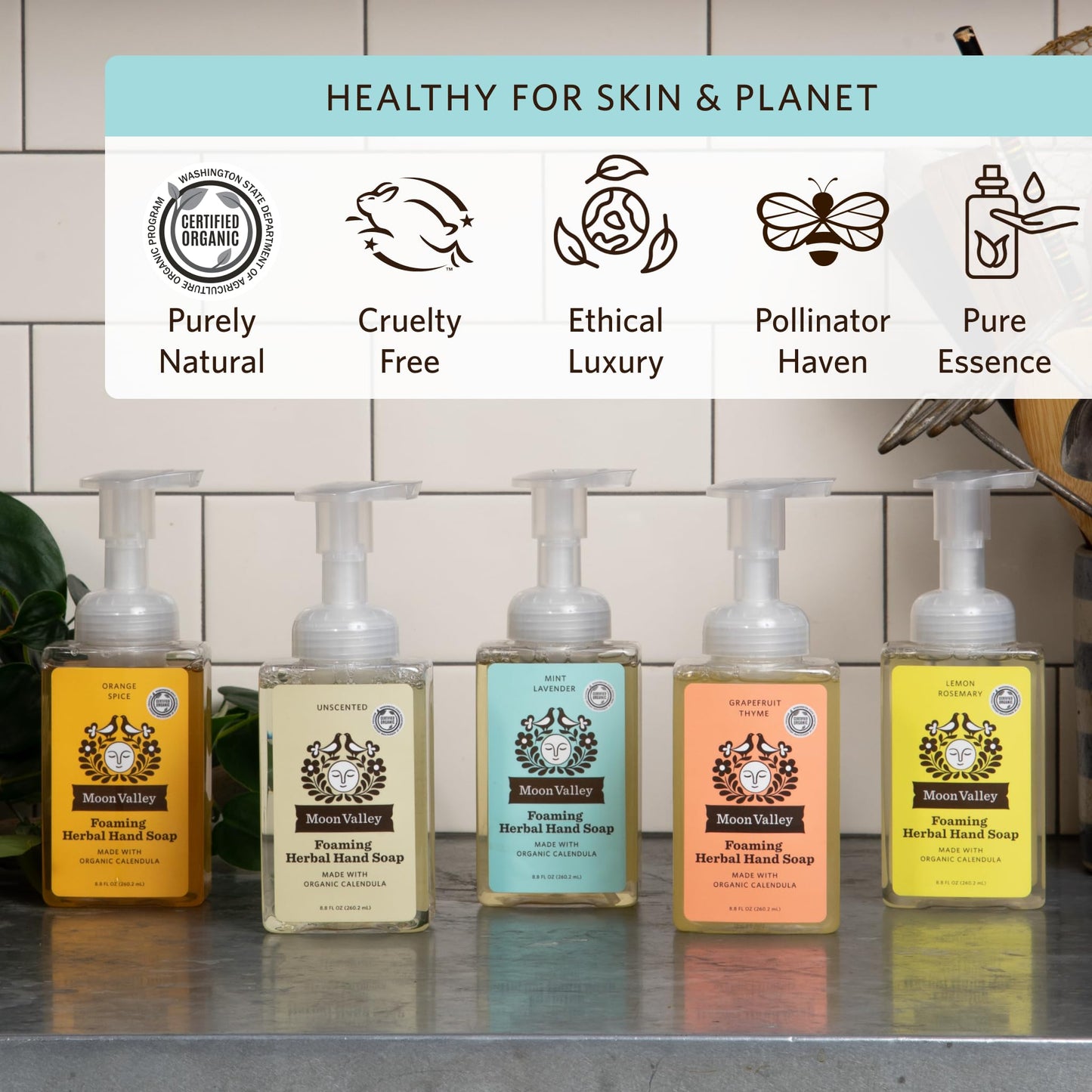 Moon Valley Herbal Foaming Hand Soap, Mint Lavender Two Pack, Vegan, Recyclable Bottle Beauty & Personal Care Moon Valley Organics