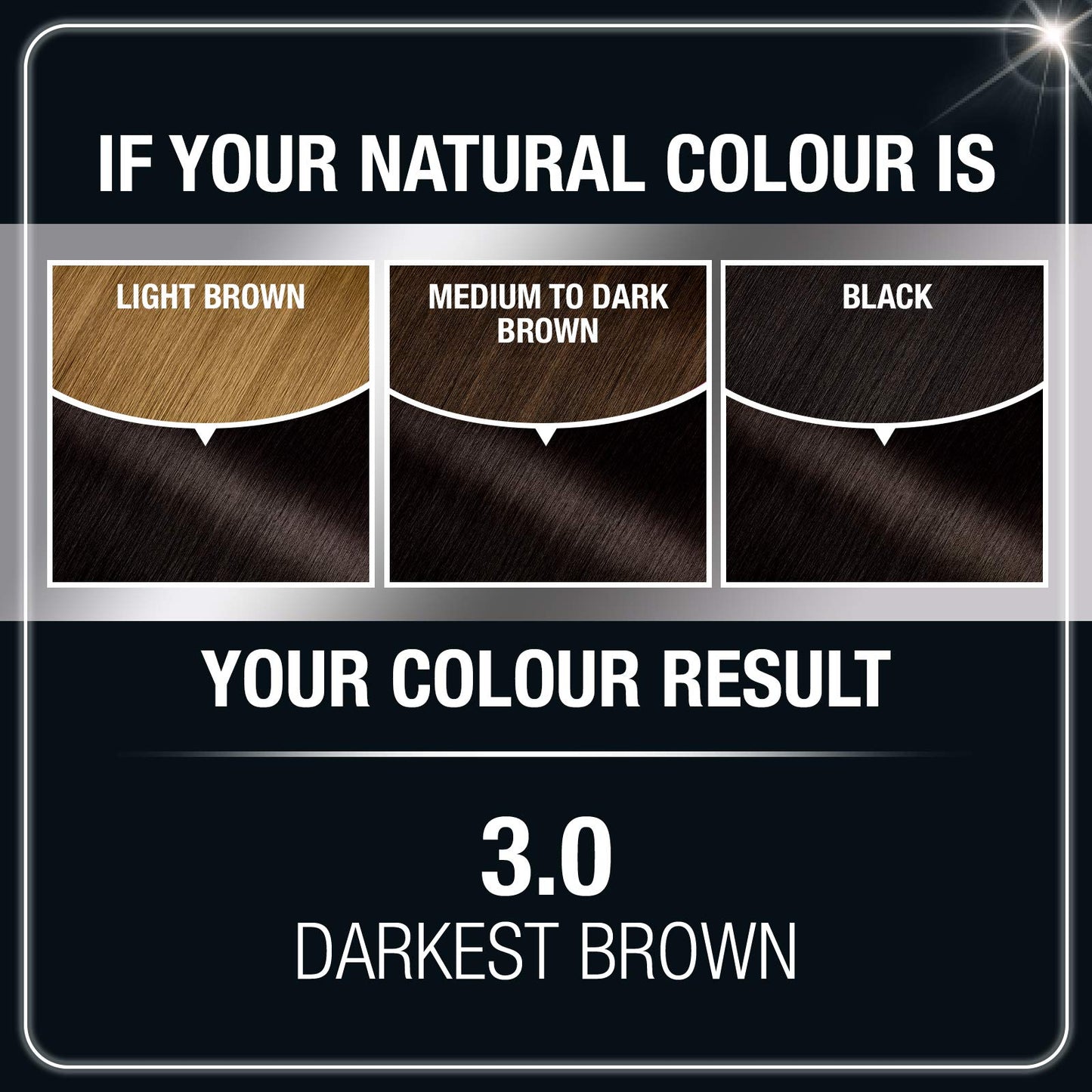 Garnier Olia Oil Powered Permanent Hair Color, 3.0 Darkest Brown