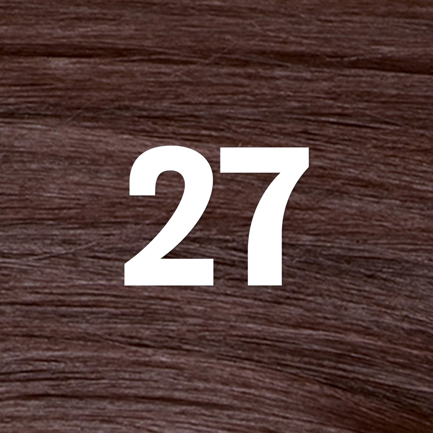 Revlon ColorSilk with Bond Repair Complex, Brown Permanent Hair Color, 100% Gray Coverage, Ammonia Free Hair Dye, Vegan Keratin, 27 Deep Rich Brown