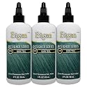 Bigen DT3 Dark Teal Designer Series Semi-Permanent Hair Color (pack of 3)