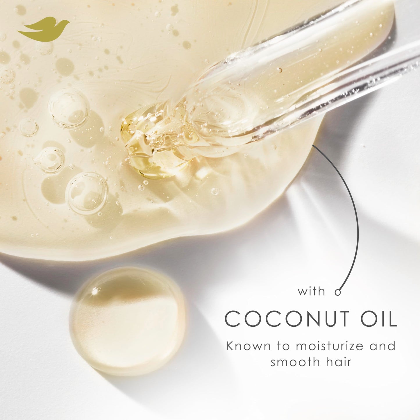 Dove Shampoo and Conditioner Coconut & Hydration 2 Count for Dry Hair with Bio-Protein Care Technology and Coconut Oil 12 Fl Oz