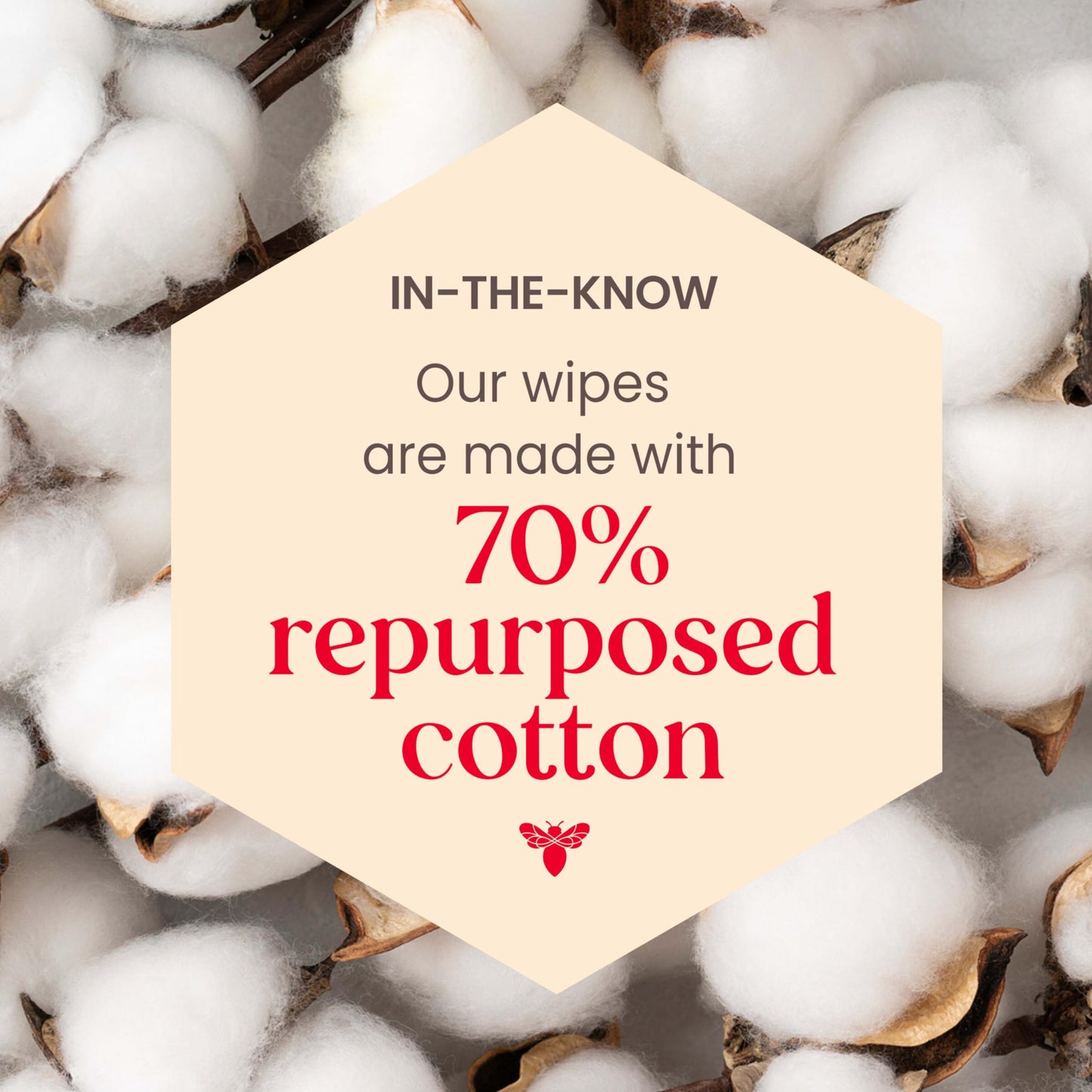 Burt's Bees Purifying Facial Towelettes With White Tea, Pre-Moistened Towelettes for All Skin Types, 99.1 Percent Natural Origin Skin Care, 10 ct