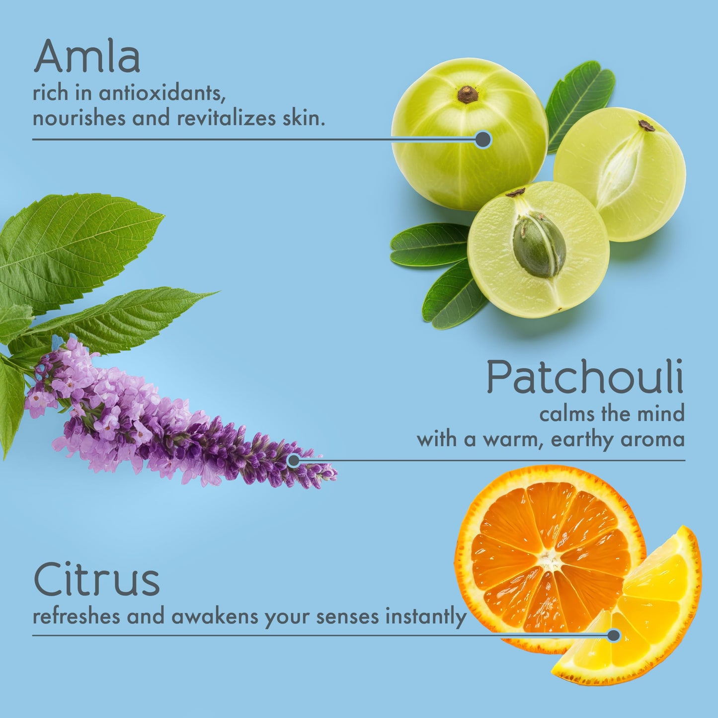 Tesori d’Oriente Ayurveda Shower Gel, 2.53 fl oz Travel Size, Gentle, Hydrating Body Wash with Amla Oil & Vitamin-E, Warm Aromatic Patchouli Scent, No Beauty & Personal Care Tesori d'Oriente
