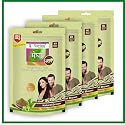 Nutranix Tna Megha Mehandi Hair Care Powder - Megha Mehandi (Pack Of 4) For Natural Hair Color Solution | For Men & Women 45GM. (Brown)