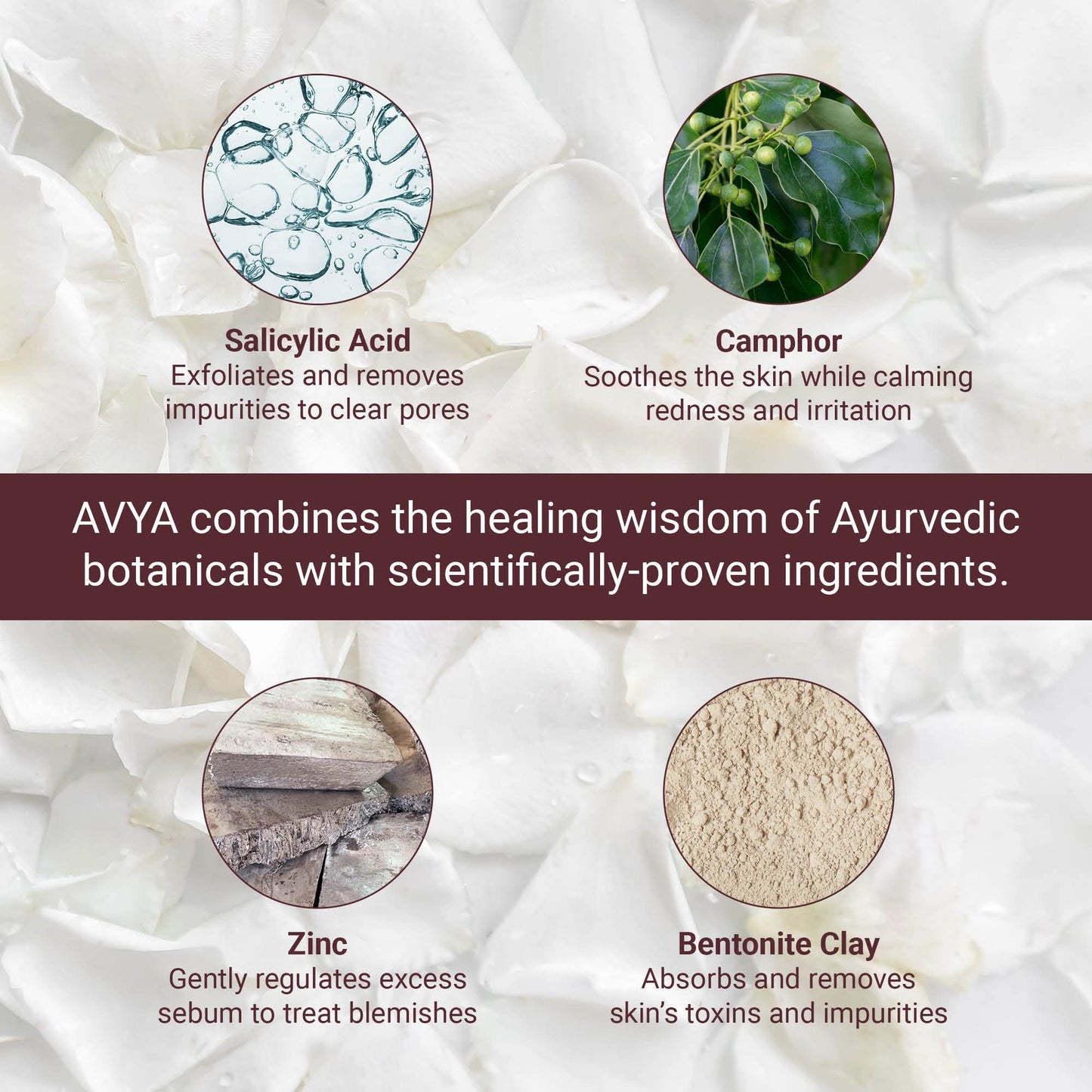 AVYA Hydroveda Essentials Daily Detox Clay Mask (1.7oz) - Bentonite Clay Treatment for Blemishes & Calming Camphor for Inflammation/Remove Impurities