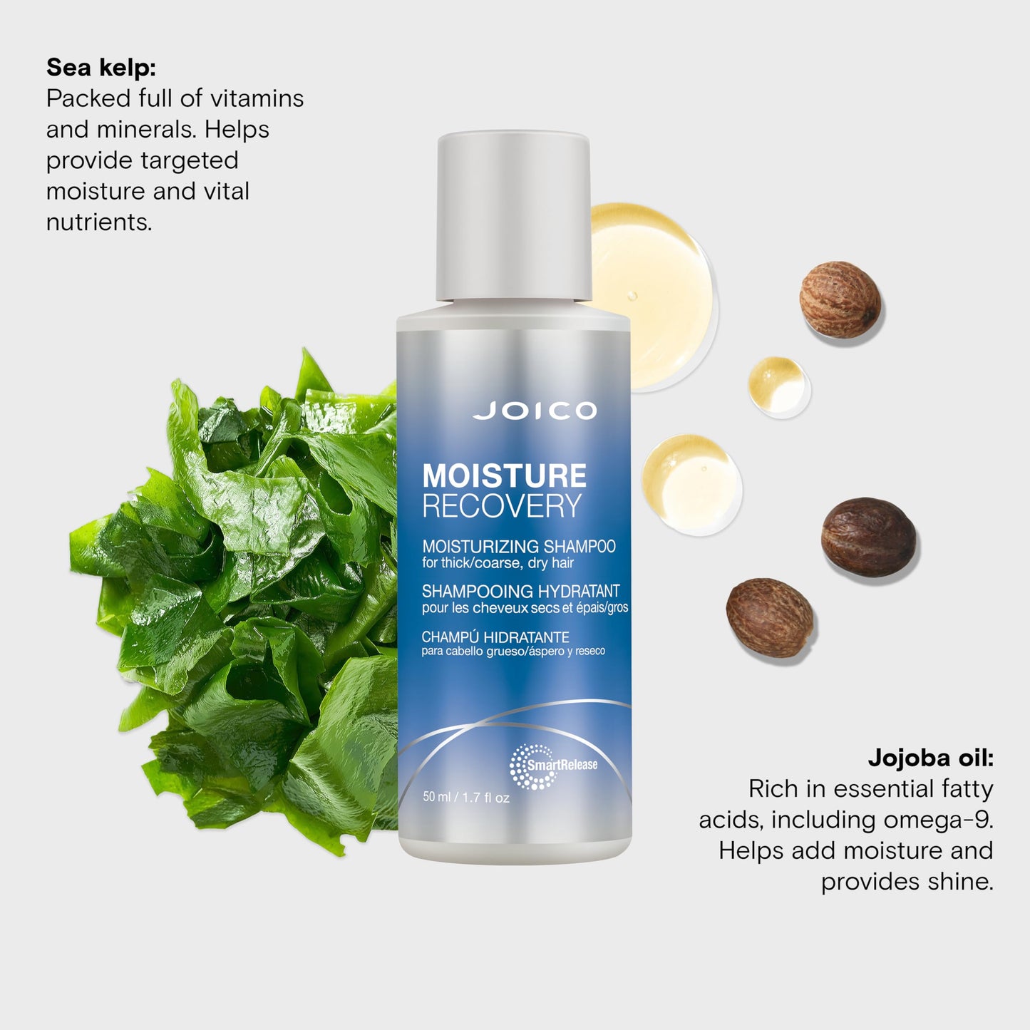 Joico Moisture Recovery Moisturizing Shampoo | For Thick, Coarse, Dry Hair | Restore Moisture, Smoothness, Strength, & Elasticity | Reduce Breakage |