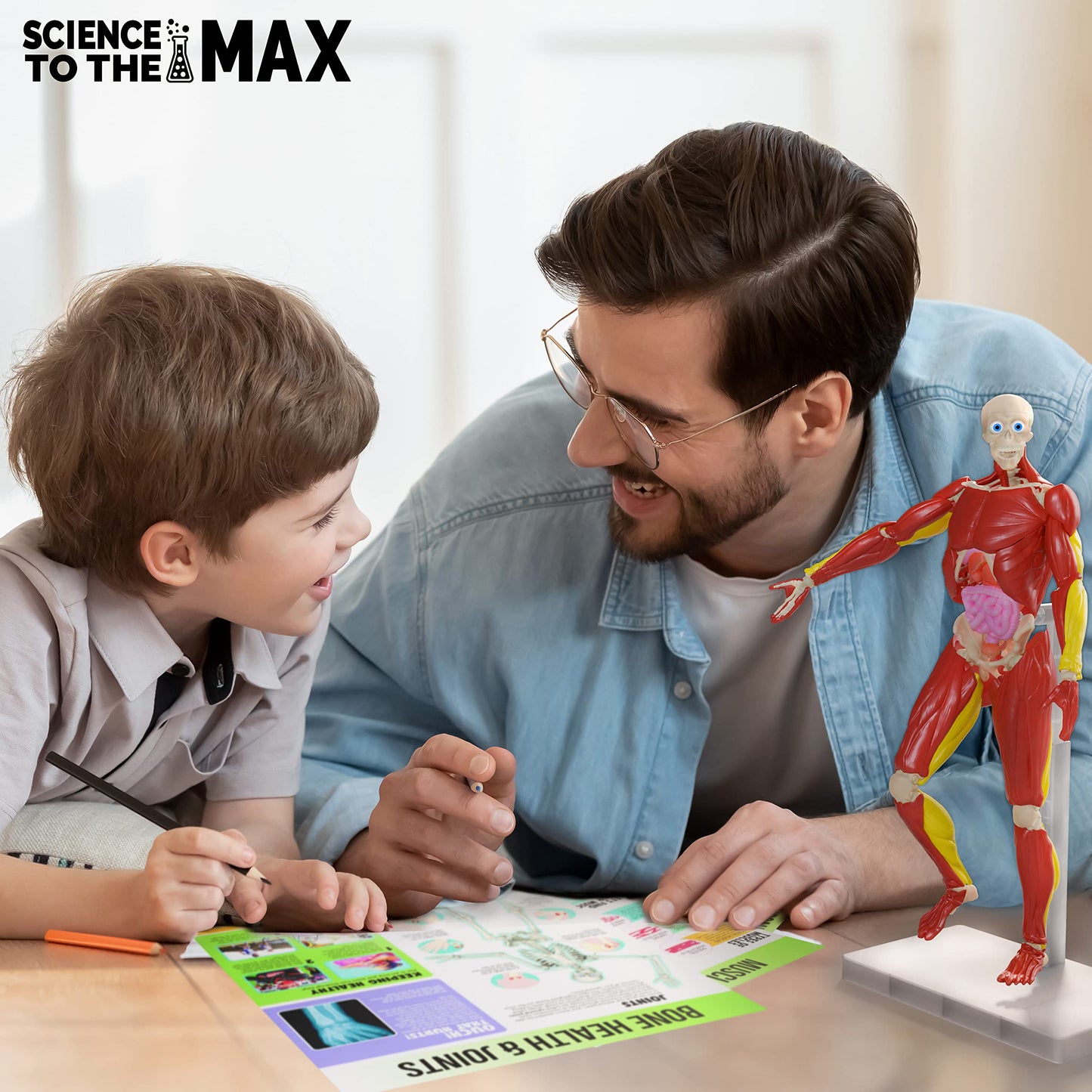 Be Amazing! Toys Interactive Human Body – 60-Pc 14” Anatomy Model with Removable Muscles, Organs & Bones – STEM Toy for Kids Ages 8+