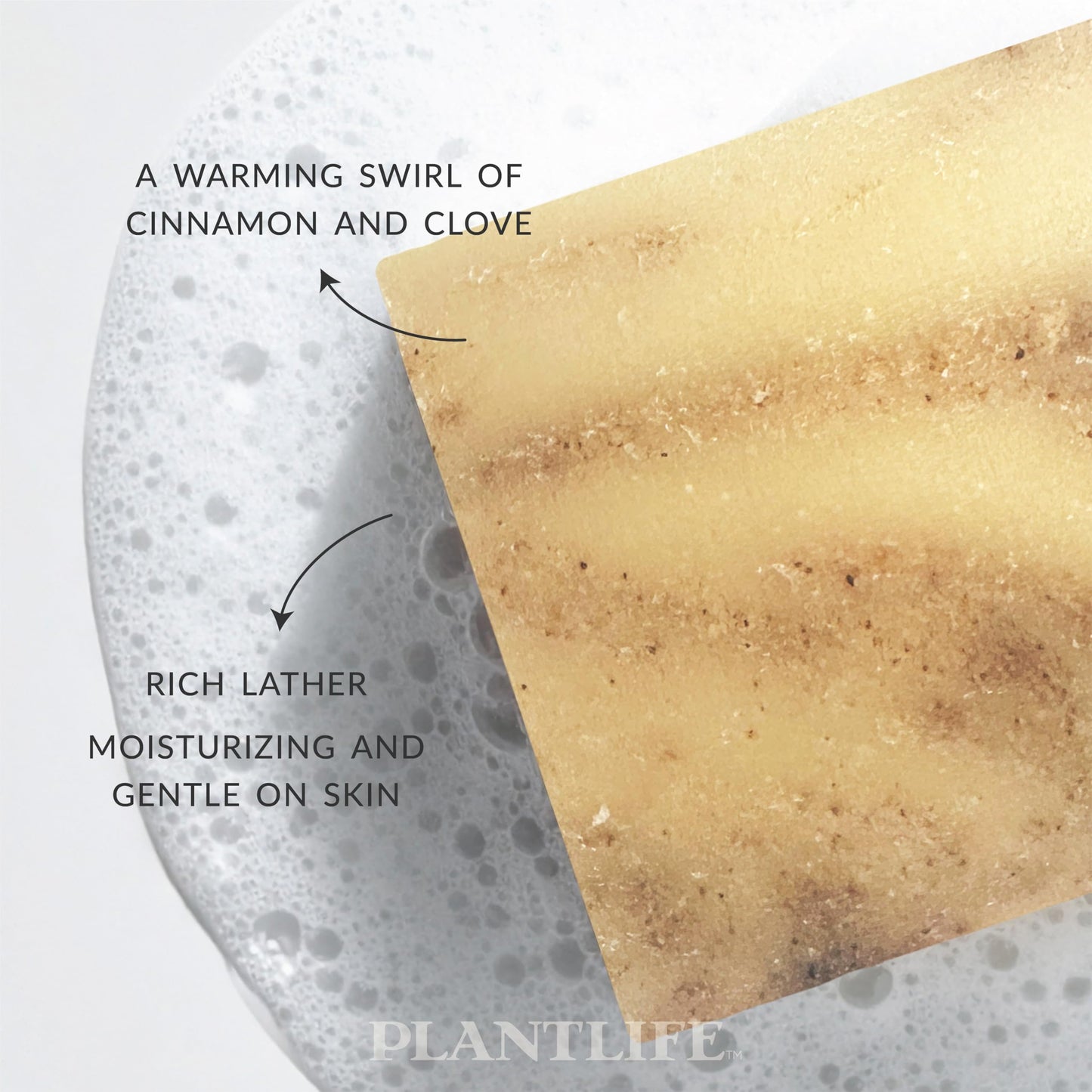 Plantlife Cassia Clove 6-pack Bar Soap - Moisturizing and Soothing Soap for Your Skin - Hand Crafted Using Plant-Based Ingredients - Made