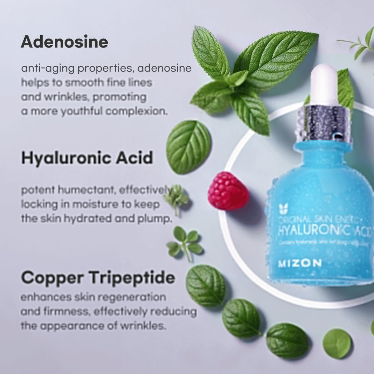 MIZON Hyaluronic Acid 100 Serum - Pure Hyaluronic Acid for Deep Hydration, Plumping & Skin Barrier Support - Lightweight K-Beauty Ampoule for Glass