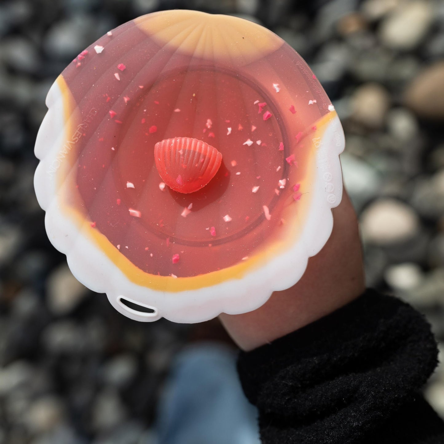 Charles Viancin - Coastal Silicone Lid for Food Storage - Costal Drink Covers - Set of 4 - One of Each - Creates an Airtight Seal on Any Smooth Rim…