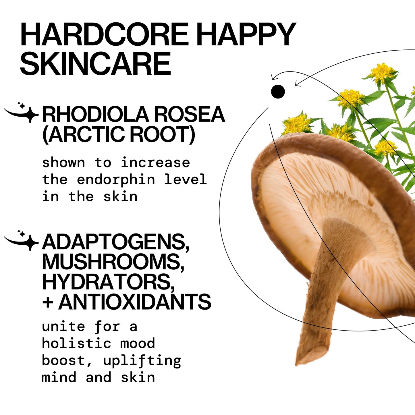 Pacifica Happy Water Hydrating Facial Toner - Vegan Ceramides, Hyaluronic Acid & Electrolytes, Refreshing & Calming for Balanced Skin, Clean Beauty